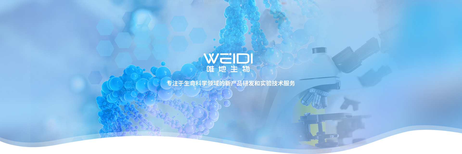 感受态细胞
