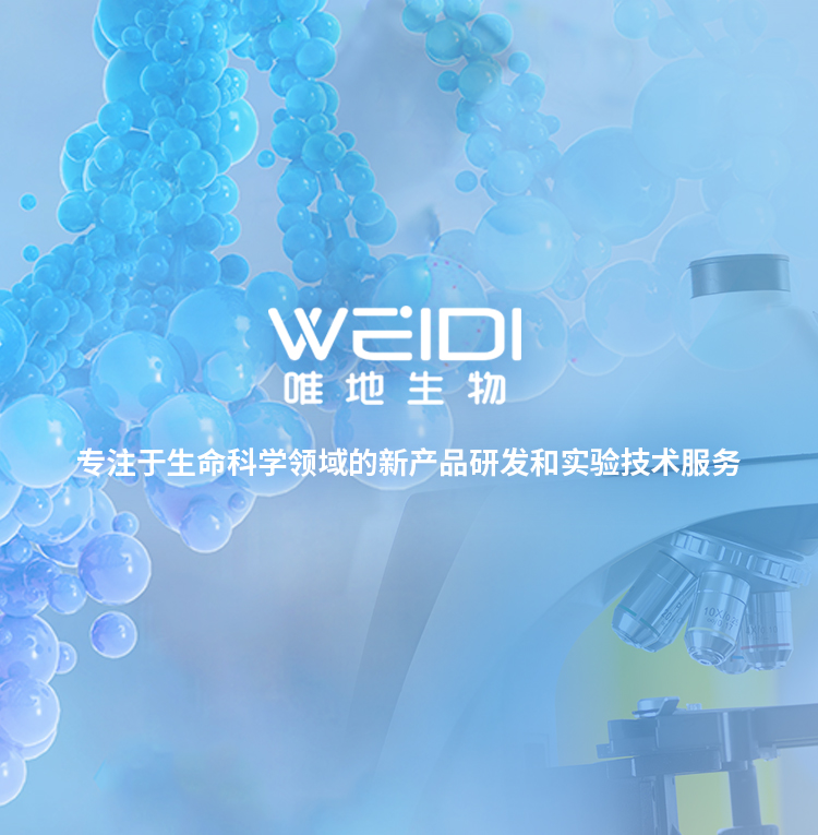 感受态细胞