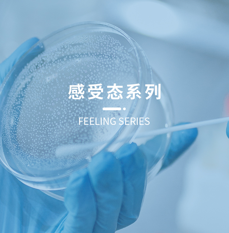感受态系列