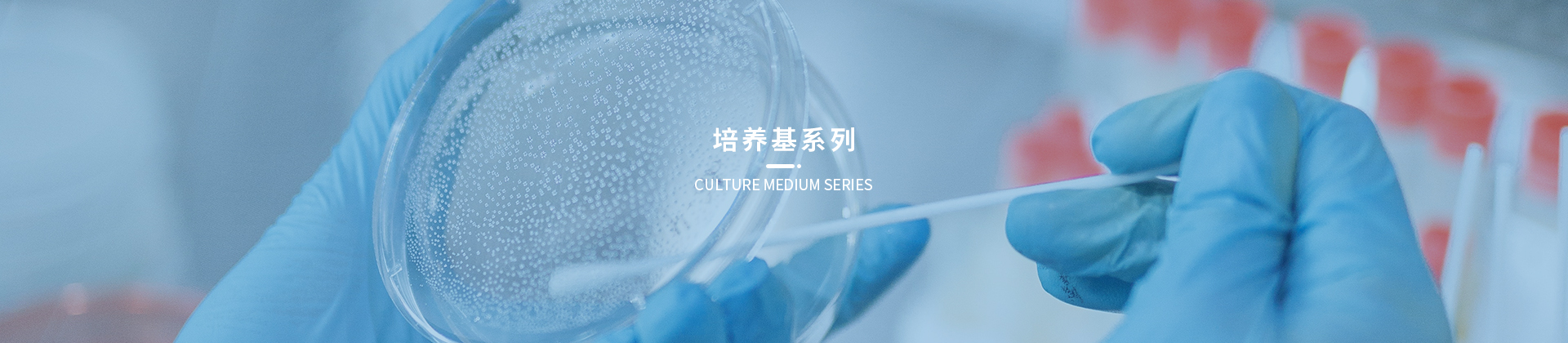 培养基系列