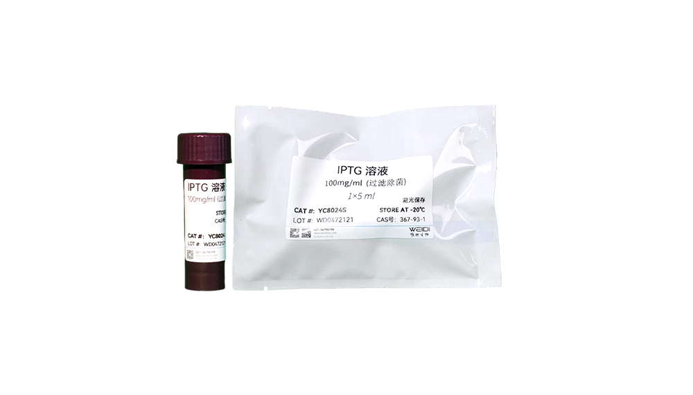 IPTG 溶液（100 mg/ml，过滤除菌）