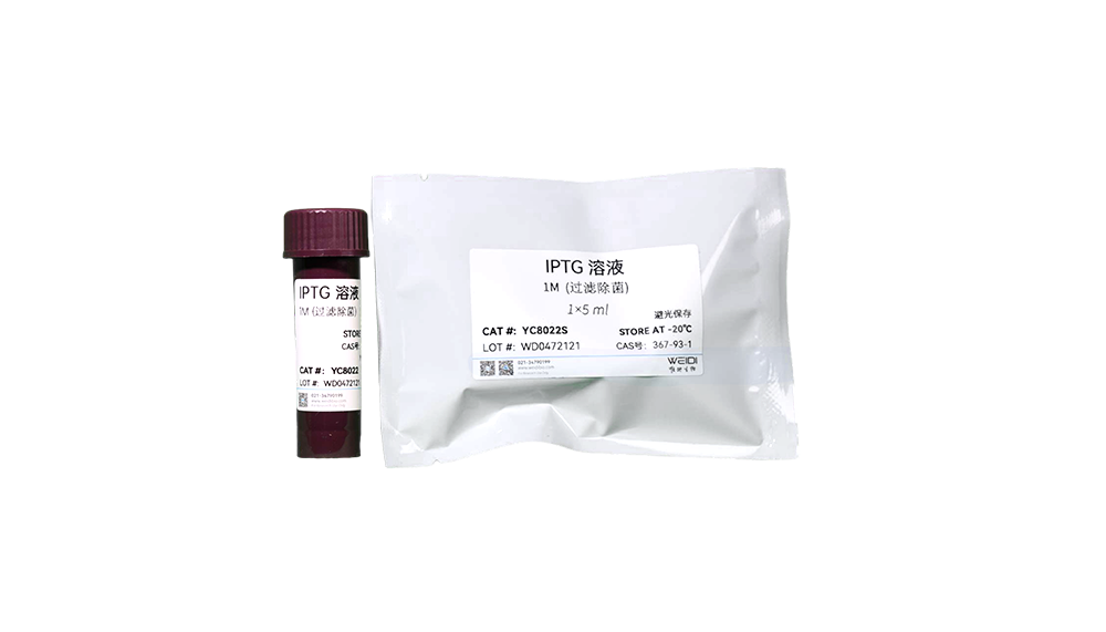 IPTG 溶液(1M,过滤除菌)