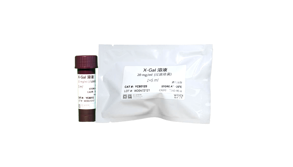 X-Gal 溶液(20 mg/ml,过滤除菌)