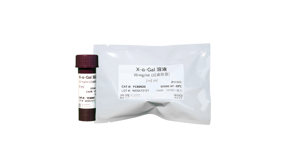 X-α-Gal 溶液 (20 mg/ml，过滤除菌)