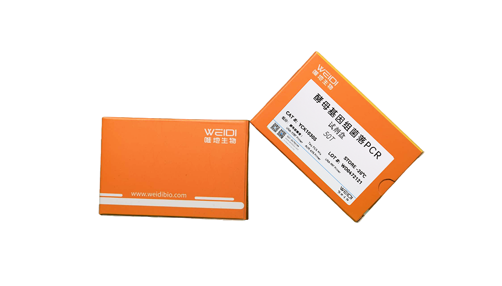 酵母基因组菌落PCR试剂盒（Y1HGold鉴定）