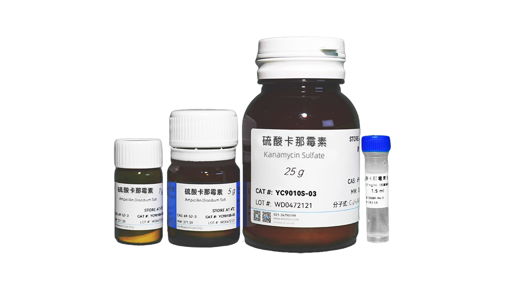 硫酸卡那霉素