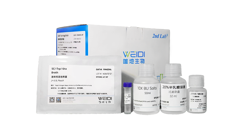 SGR/–Trp/–Ura/+X-gal Broth