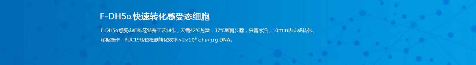 F-DH5α快速转化感受态细胞