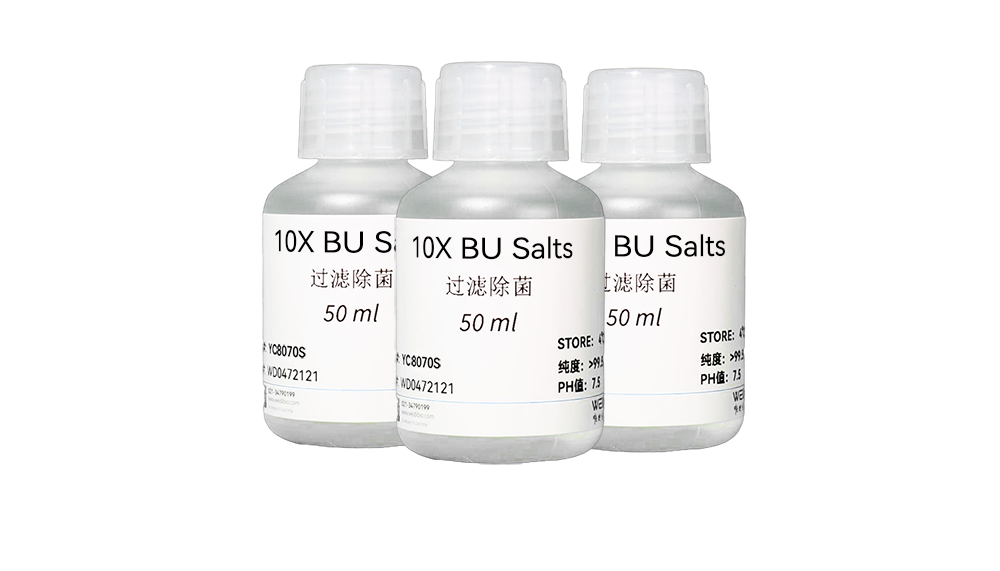 10X BU Salts