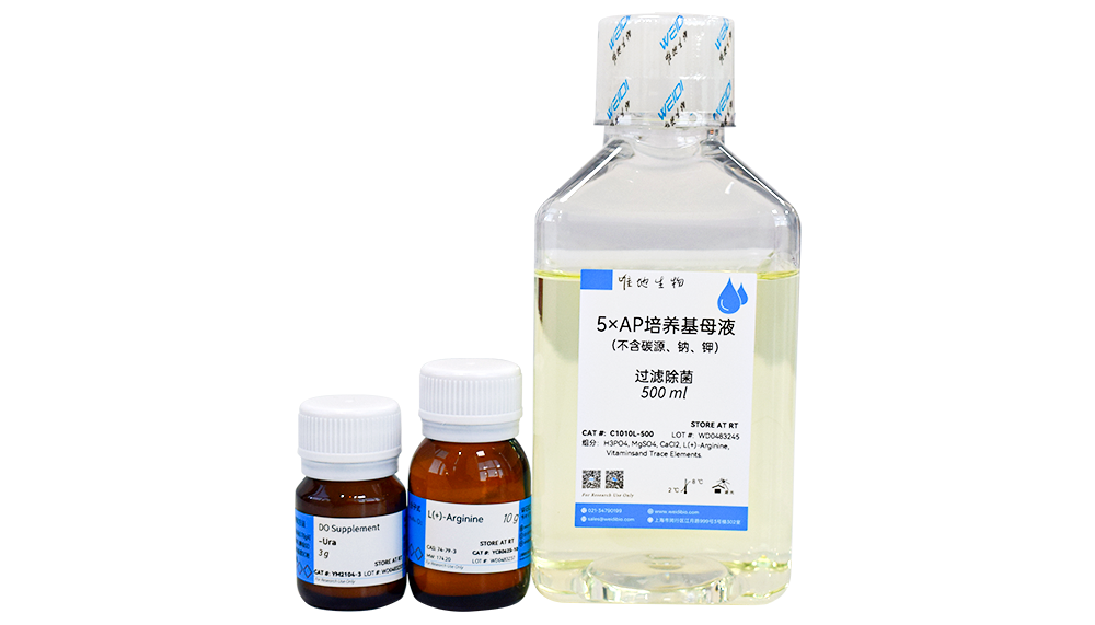 5×AP培养基(不含碳源、钠、钾)母液（已过滤除菌）