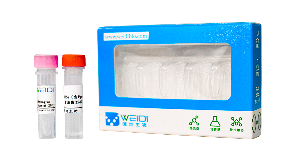 ● pCAMBIA1300-YN 质粒