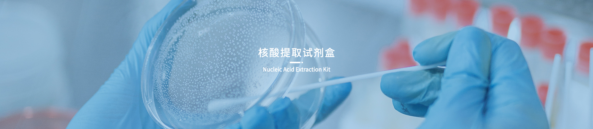 核酸提取试剂盒