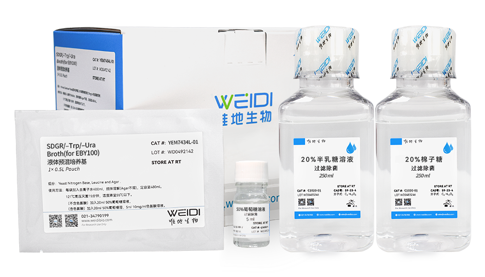 SDGR/–Trp/–Ura Broth(for EBY100) (液体预混培养基粉剂)