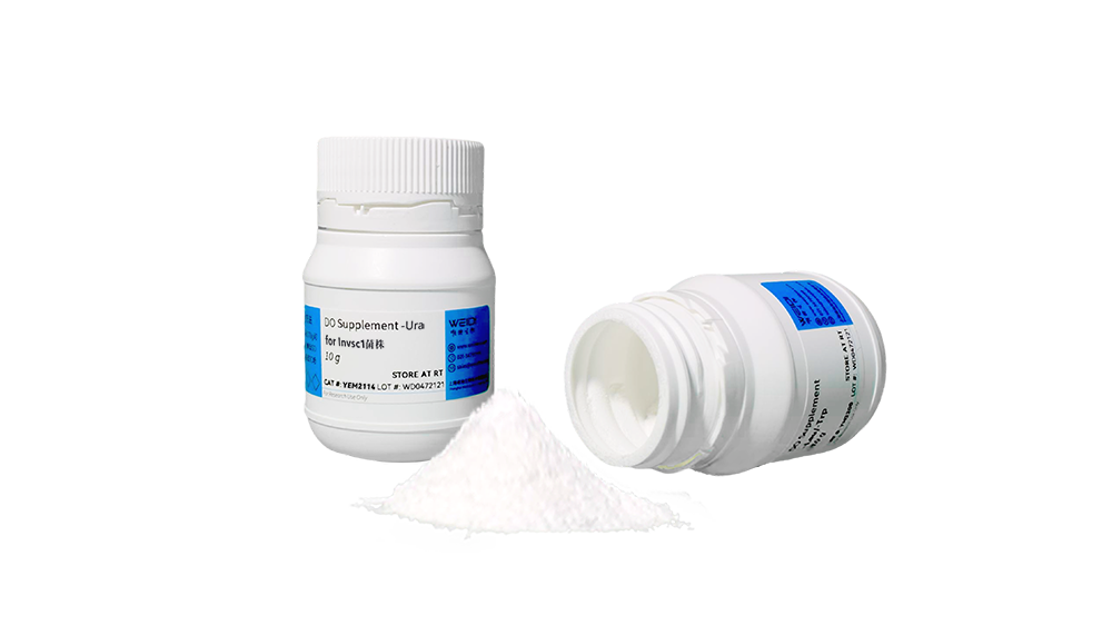 DO Supplement -Ura (氨基酸混合物) for Invsc1菌株