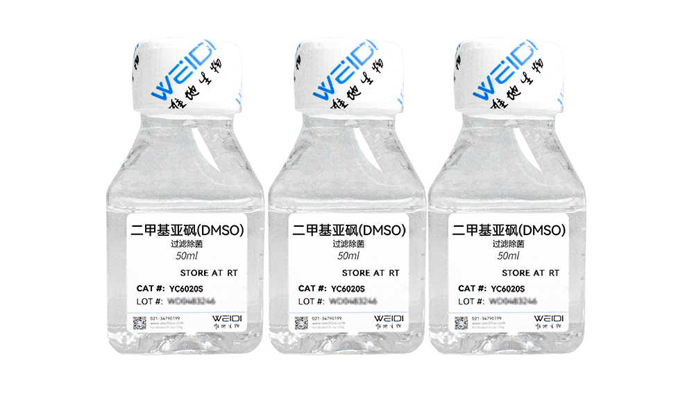 DMSO（过滤除菌）