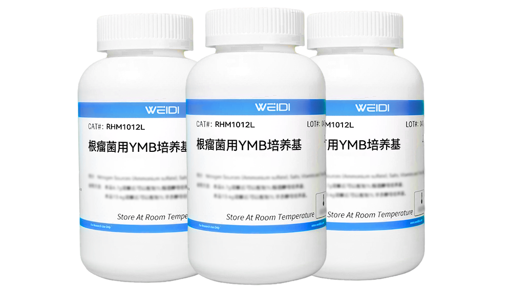 根瘤菌用YMB培养基