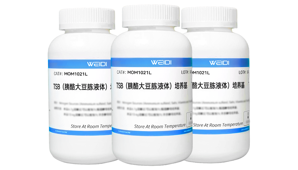 TSB(胰酪大豆胨液体)培养基