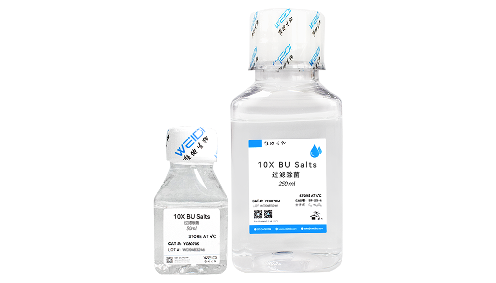 10X BU Salts