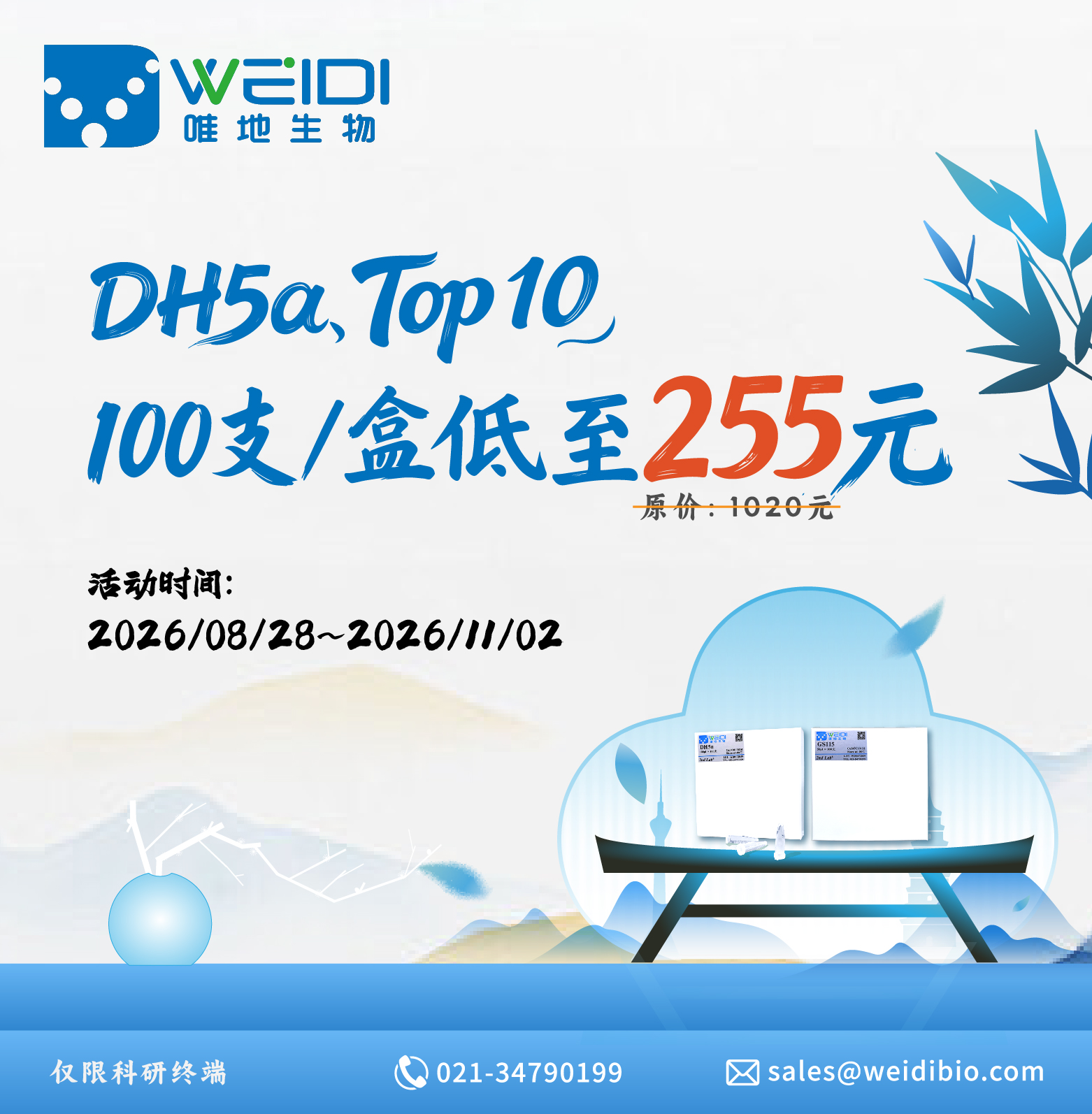 dh5α、top10低至255元